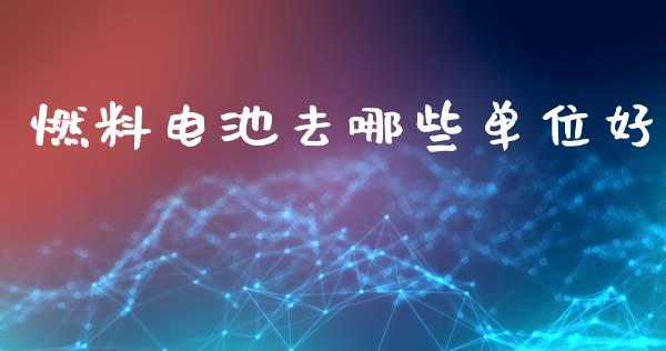 燃料电池去哪些单位好_https://www.lansai.wang_股票知识_第1张