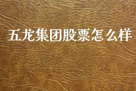 五龙集团股票怎么样_https://www.lansai.wang_期货行情_第1张