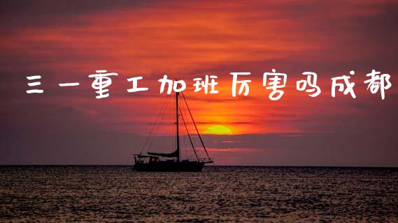 三一重工加班厉害吗成都_https://www.lansai.wang_股票知识_第1张