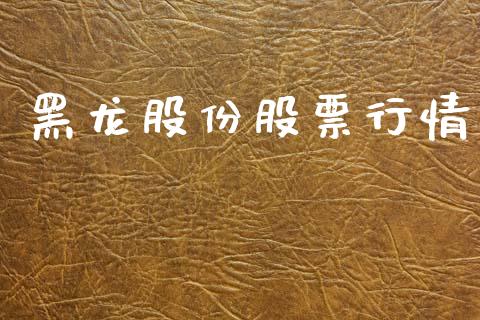 黑龙股份股票行情_https://www.lansai.wang_基金理财_第1张