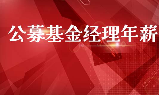 公募基金经理年薪_https://www.lansai.wang_基金理财_第1张