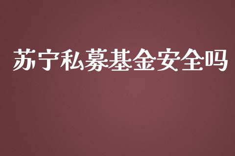 苏宁私募基金安全吗_https://www.lansai.wang_理财百科_第1张