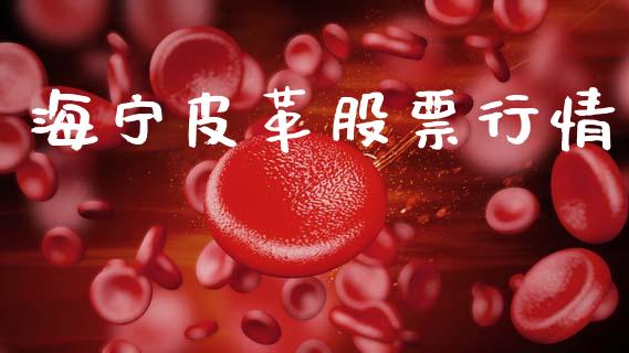 海宁皮革股票行情_https://www.lansai.wang_股票知识_第1张