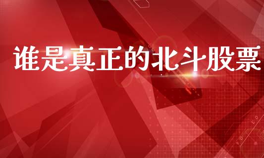 谁是真正的北斗股票_https://www.lansai.wang_期货资讯_第1张