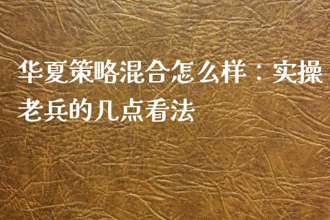 华夏策略混合怎么样：实操老兵的几点看法_https://www.lansai.wang_期货行情_第1张