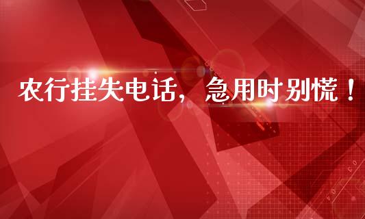 农行挂失电话，急用时别慌！_https://www.lansai.wang_恒生指数_第1张