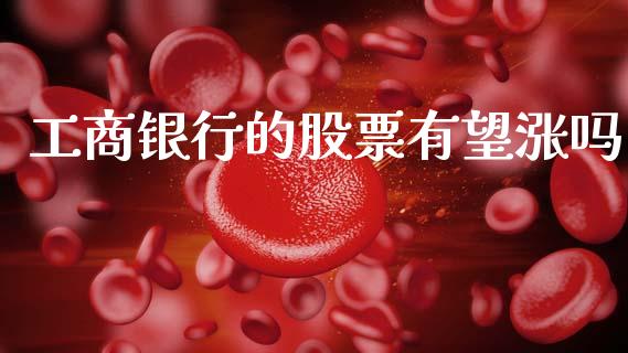 工商银行的股票有望涨吗_https://www.lansai.wang_基金理财_第1张