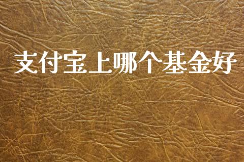 支付宝上哪个基金好_https://www.lansai.wang_基金理财_第1张