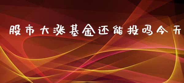 股市大涨基金还能投吗今天_https://www.lansai.wang_基金理财_第1张