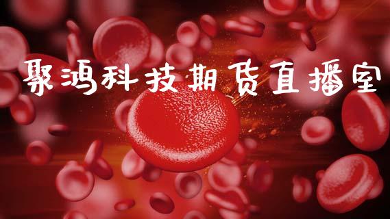聚鸿科技期货直播室_https://www.lansai.wang_期货直播_第1张