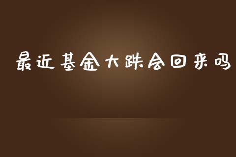 最近基金大跌会回来吗_https://www.lansai.wang_基金理财_第1张