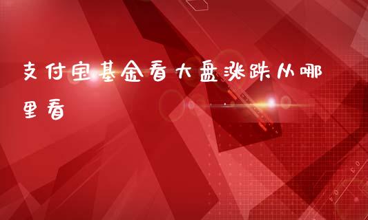 支付宝基金看大盘涨跌从哪里看_https://www.lansai.wang_基金理财_第1张