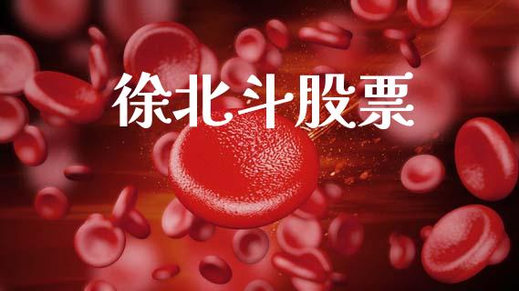 徐北斗股票_https://www.lansai.wang_期货资讯_第1张