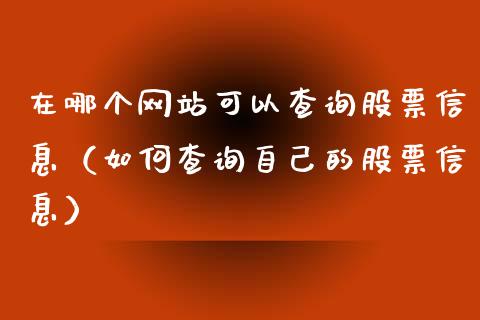 在哪个网站可以查询股票信息（如何查询自己的股票信息）_https://www.lansai.wang_股票问答_第1张