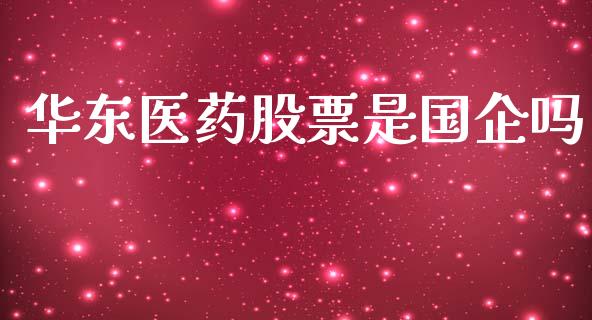 华东医药股票是国企吗_https://www.lansai.wang_基金理财_第1张