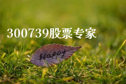 300739股票专家_https://www.lansai.wang_期货行情_第1张