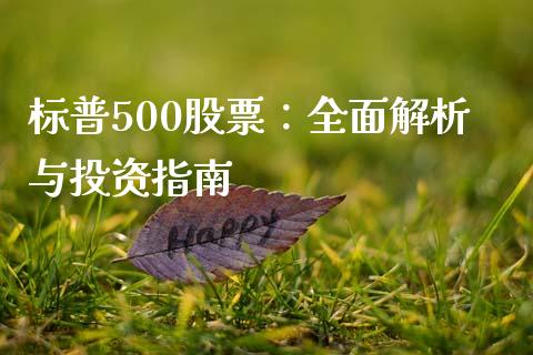 标普500股票：全面解析与投资指南_https://www.lansai.wang_基金理财_第1张
