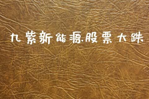 九紫新能源股票大跌_https://www.lansai.wang_股票问答_第1张