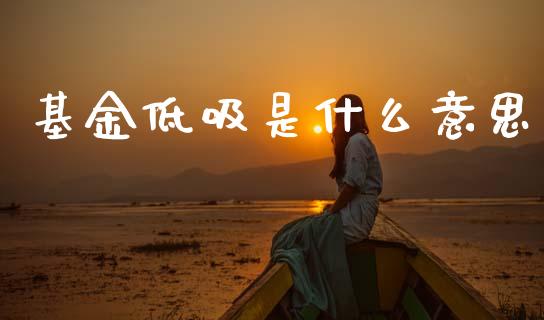 基金低吸是什么意思_https://www.lansai.wang_理财百科_第1张