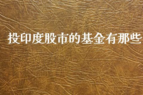 投印度股市的基金有那些_https://www.lansai.wang_基金理财_第1张