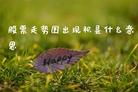股票走势图出现积是什么意思_https://www.lansai.wang_股票问答_第1张