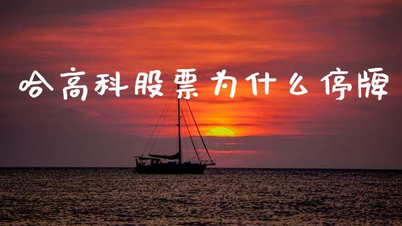 哈高科股票为什么停牌_https://www.lansai.wang_股票问答_第1张