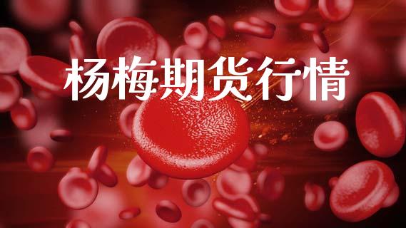 杨梅期货行情_https://www.lansai.wang_期货资讯_第1张
