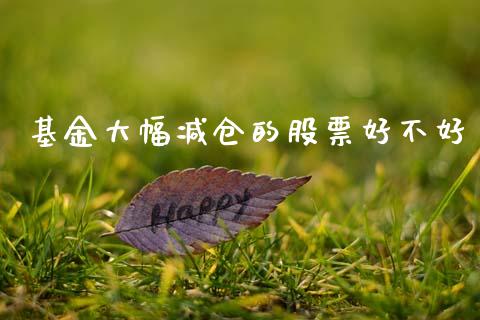 基金大幅减仓的股票好不好_https://www.lansai.wang_基金理财_第1张