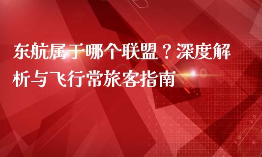 东航属于哪个联盟？深度解析与飞行常旅客指南_https://www.lansai.wang_期货学院_第1张