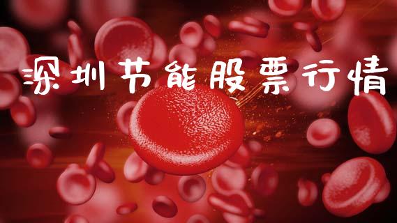 深圳节能股票行情_https://www.lansai.wang_股票知识_第1张