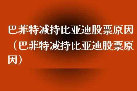 巴菲特减持比亚迪股票原因（巴菲特减持比亚迪股票原因）_https://www.lansai.wang_股票知识_第1张