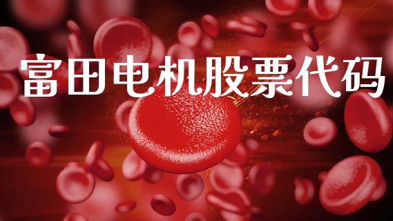 富田电机股票代码_https://www.lansai.wang_期货资讯_第1张