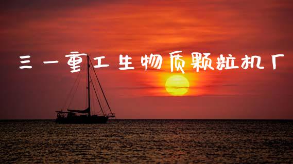 三一重工生物质颗粒机厂_https://www.lansai.wang_股票知识_第1张