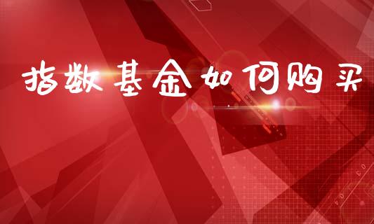 指数基金如何购买_https://www.lansai.wang_基金理财_第1张