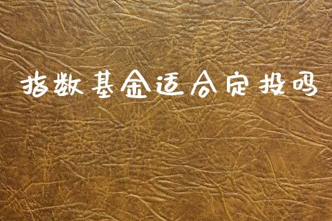 指数基金适合定投吗_https://www.lansai.wang_基金理财_第1张