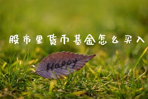 股市里货币基金怎么买入_https://www.lansai.wang_基金理财_第1张