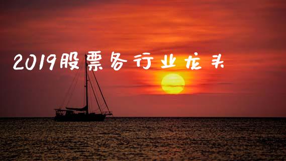 2019股票各行业龙头_https://www.lansai.wang_期货行情_第1张