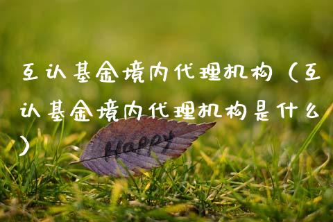 互认基金境内代理机构（互认基金境内代理机构是什么）_https://www.lansai.wang_基金理财_第1张