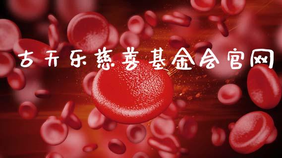 古天乐慈善基金会官网_https://www.lansai.wang_基金理财_第1张