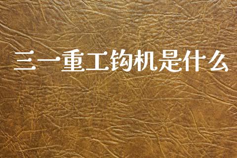 三一重工钩机是什么_https://www.lansai.wang_股票知识_第1张