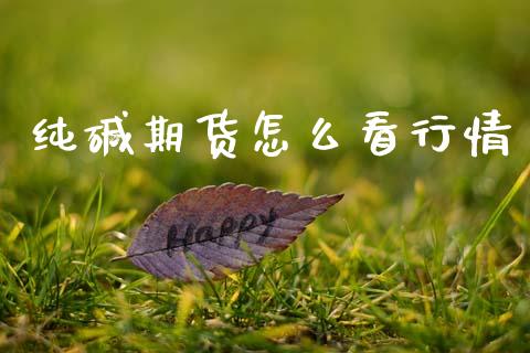 纯碱期货怎么看行情_https://www.lansai.wang_恒生指数_第1张