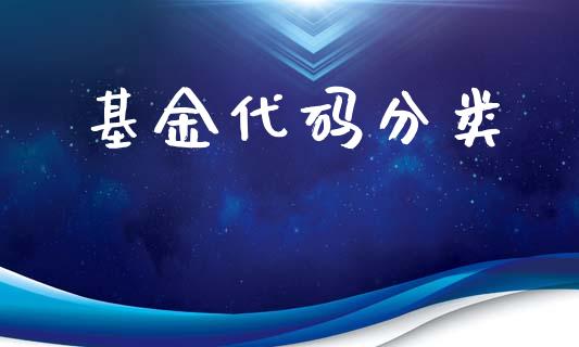 基金代码分类_https://www.lansai.wang_基金理财_第1张