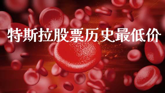 特斯拉股票历史最低价_https://www.lansai.wang_股票问答_第1张