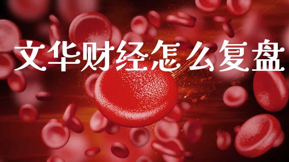 文华财经怎么复盘_股票问答_第1张_起点财经 文华财经怎么复盘_https://www.lansai.wang_股票问答_第1张