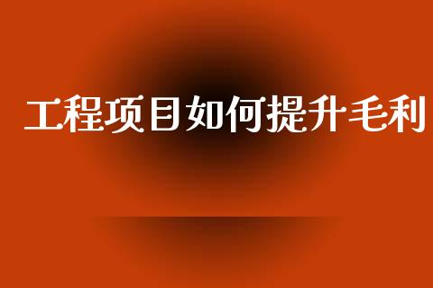 工程项目如何提升毛利_https://www.lansai.wang_期货行情_第1张