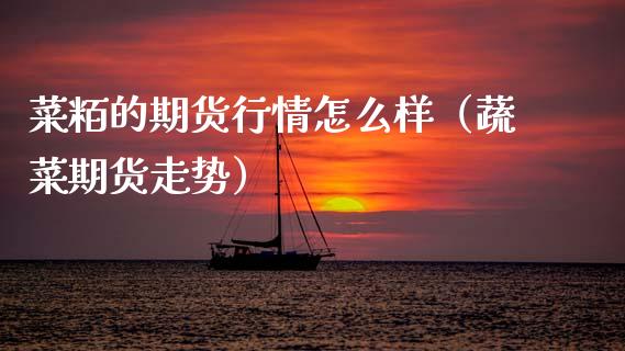 菜粨的期货行情怎么样（蔬菜期货走势）_https://www.lansai.wang_期货资讯_第1张