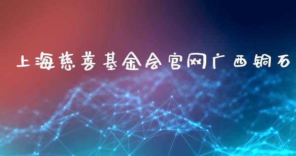 上海慈善基金会官网广西铜石_https://www.lansai.wang_基金理财_第1张