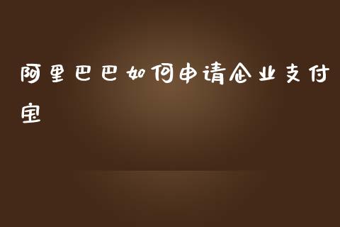 阿里巴巴如何申请企业支付宝_https://www.lansai.wang_基金理财_第1张