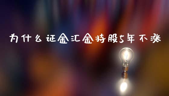 为什么证金汇金持股5年不涨_https://www.lansai.wang_基金理财_第1张