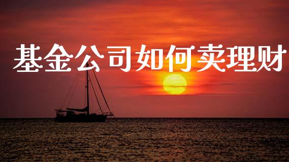 基金公司如何卖理财_https://www.lansai.wang_基金理财_第1张